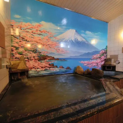 Отель Dormy Inn Soga Natural Hot Spring Тиба спа фото 2