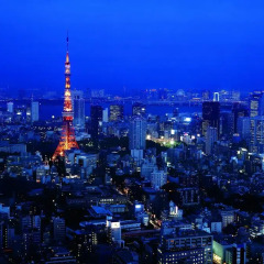 Отель The Ritz Carlton Tokyo 5* Люкс фото 3