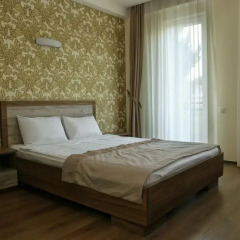Отель Gureli 3* Стандартный номер с двуспальной кроватью фото 11