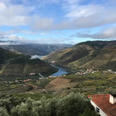 Отель Casa De Casal De Loivos фото 4