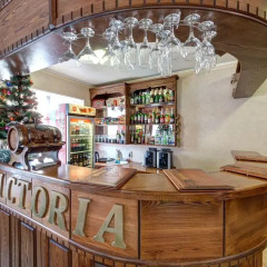 Гостиница Villa Victoria гостиничный бар