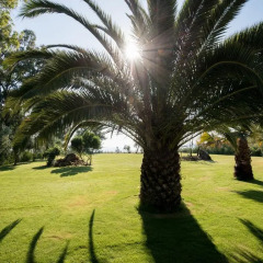 Отель Tiamo Secrets - Palm Garden фото 3