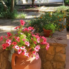 Отель Holiday Home Mondelladdaura Италия, Палермо - отзывы, цены и фото номеров - забронировать отель Holiday Home Mondelladdaura онлайн фото 9