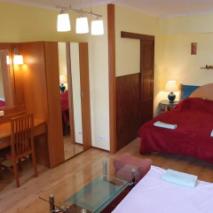 Hotel Oswaldo 2* Номер Комфорт с различными типами кроватей фото 4