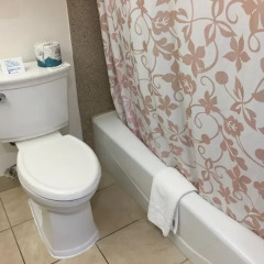 Отель Buena Vista Motor Inn ванная