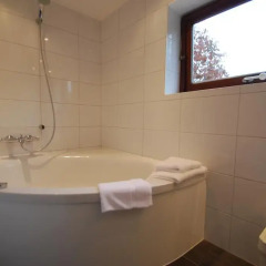 Отель Hostellerie Rozenhof Нидерланды, Неймеген - отзывы, цены и фото номеров - забронировать отель Hostellerie Rozenhof онлайн ванная