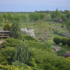 Гостиница Luxury Village балкон