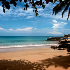 Отель Bom Bom Principe Island 4* Бунгало с различными типами кроватей фото 10
