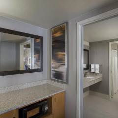 Отель Courtyard by Marriott New Orleans Downtown/Convention Center США, Новый Орлеан - отзывы, цены и фото номеров - забронировать отель Courtyard by Marriott New Orleans Downtown/Convention Center онлайн удобства в номере фото 2