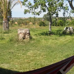Отель Agriturismo Bassarì Италия, Реканати - отзывы, цены и фото номеров - забронировать отель Agriturismo Bassarì онлайн