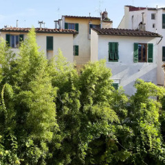 Отель Oltrarno Home Silvia Florence Флоренция