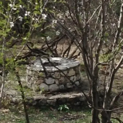 Отель The Mountain House