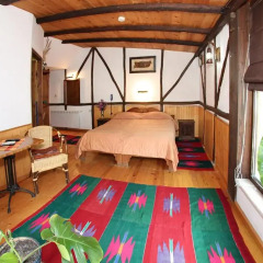 Отель Авион 3* Стандартный номер с различными типами кроватей фото 10