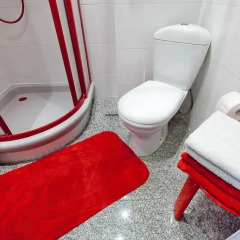 Апартаменты FlatRentMinsk апартаменты Студия фото 19