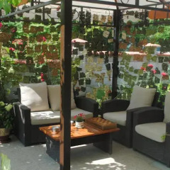 Отель Villa Rosa Балчик развлечения