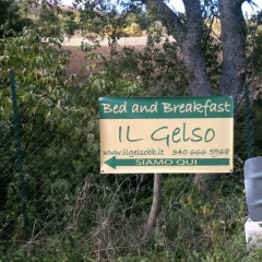Отель Il Gelso Тито приотельная территория