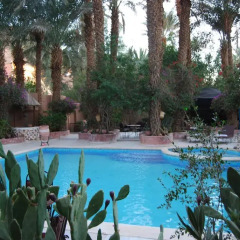 Отель Kasbah Sirocco Марокко, Загора - отзывы, цены и фото номеров - забронировать отель Kasbah Sirocco онлайн бассейн