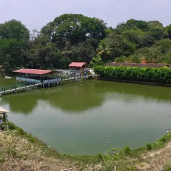 Отель Villa de Ada Гондурас, Грасьяс - отзывы, цены и фото номеров - забронировать отель Villa de Ada онлайн приотельная территория фото 2