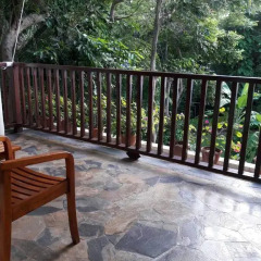 Отель Birds & Bees Resort 3* Люкс с 2 отдельными кроватями фото 39