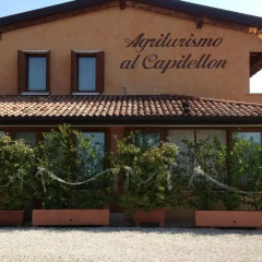 Отель Agriturismo Al Capitellon Италия, Скорце - отзывы, цены и фото номеров - забронировать отель Agriturismo Al Capitellon онлайн фото 3