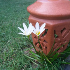 Отель Flora Hoian Villa спа
