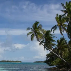 Отель Guraidhoo Corner Tourist House Мальдивы, Северный атолл Мале - отзывы, цены и фото номеров - забронировать отель Guraidhoo Corner Tourist House онлайн пляж