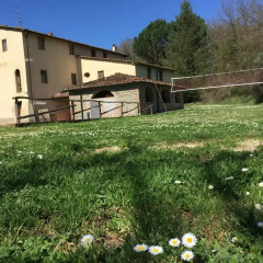 Отель Agriturismo Montassi E Bruscolaio Монтеварчи фото 3