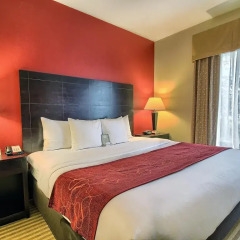Отель Comfort Suites East Broad At 270 3* Люкс фото 3