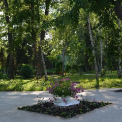 Гостиница Zeleny Kampus Украина, Одесса - отзывы, цены и фото номеров - забронировать гостиницу Zeleny Kampus онлайн фото 4