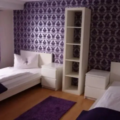 Hotel & Hostel Hallbergerhof Стандартный номер с двуспальной кроватью фото 12