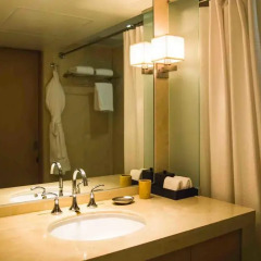 Отель Hyatt Regency Mexico City 5* Представительский люкс с разными типами кроватей
