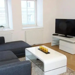 Апартаменты W.B. Apartments - Fendigasse комната для гостей фото 4