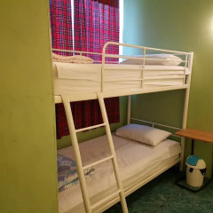 Mr.Comma Guesthouse - Hostel Кровать в женском общем номере с двухъярусной кроватью фото 10