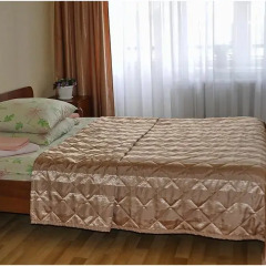 Гостиница Островок Стандартный номер с двуспальной кроватью фото 5