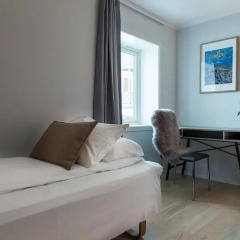 Enter Viking Hotel 3* Стандартный номер с различными типами кроватей фото 5