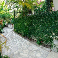 Отель Casa Doña Elena B&B Гондурас, Копан-Руинас - отзывы, цены и фото номеров - забронировать отель Casa Doña Elena B&B онлайн фото 6