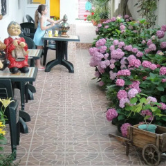 Mashuk Hotel 2* Номер категории Эконом с различными типами кроватей фото 17