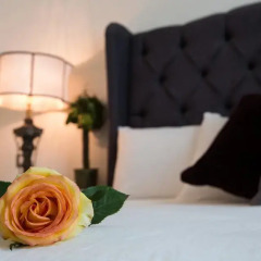 Casa Monraz Hotel Boutique y Galería 3* Полулюкс с различными типами кроватей