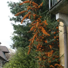 Отель La Lanterna Вербания фото 4