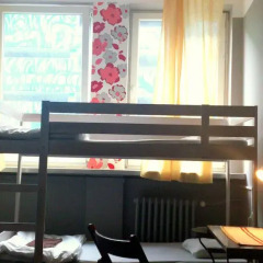 WDj Hostel детские мероприятия