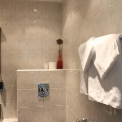 Отель Skansen Hotell сауна