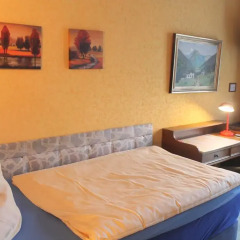 Hotel Adler 3* Стандартный номер с различными типами кроватей фото 4