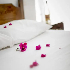 Flower Pension Hotel Стандартный номер с различными типами кроватей фото 5