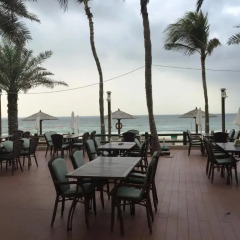 Отель Occidental Sharjah Grand ОАЭ, Шарджа - 8 отзывов об отеле, цены и фото номеров - забронировать отель Occidental Sharjah Grand онлайн питание фото 3