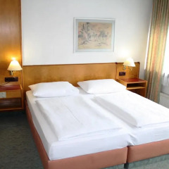 Hotel Ekazent Schönbrunn 3* Стандартный номер с двуспальной кроватью