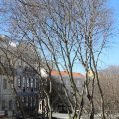 Отель TripGeo Guesthouse пляж