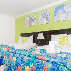 Hotel El Cid Merida 3* Стандартный номер с различными типами кроватей фото 4