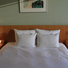 Shinagawa Prince Hotel 3* Стандартный номер с двуспальной кроватью фото 4