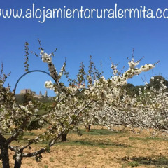 Отель Hostal Casa Rural La Ermita Саэлисес фото 7