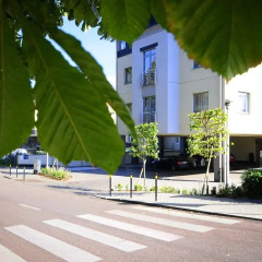Отель Oliwski Hotel Польша, Гданьск - отзывы, цены и фото номеров - забронировать отель Oliwski Hotel онлайн фото 5